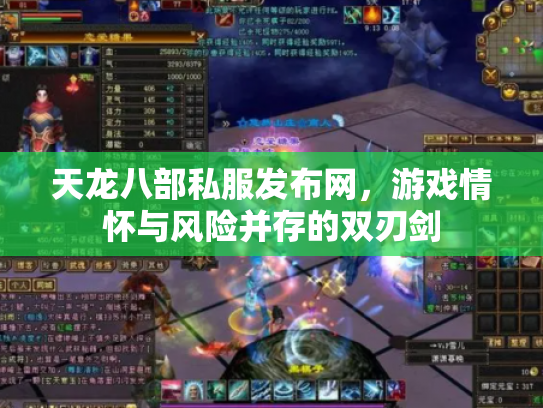 天龙八部私服发布网，游戏情怀与风险并存的双刃剑