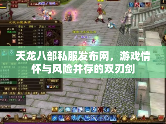 天龙八部私服发布网，游戏情怀与风险并存的双刃剑
