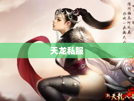 天龙私服