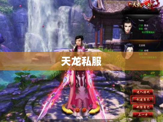 天龙私服