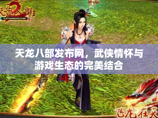 天龙八部发布网，武侠情怀与游戏生态的完美结合