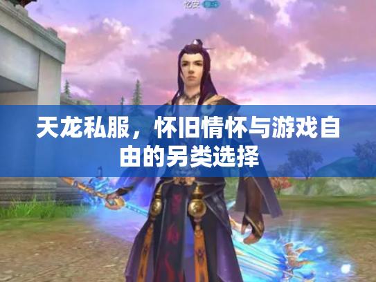 天龙私服，怀旧情怀与游戏自由的另类选择