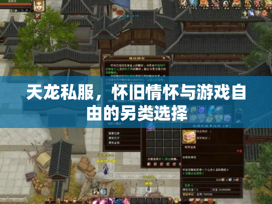 天龙私服，怀旧情怀与游戏自由的另类选择