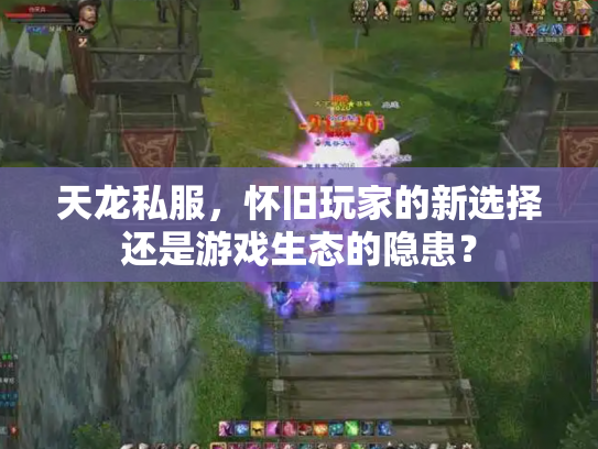 天龙私服，怀旧玩家的新选择还是游戏生态的隐患？