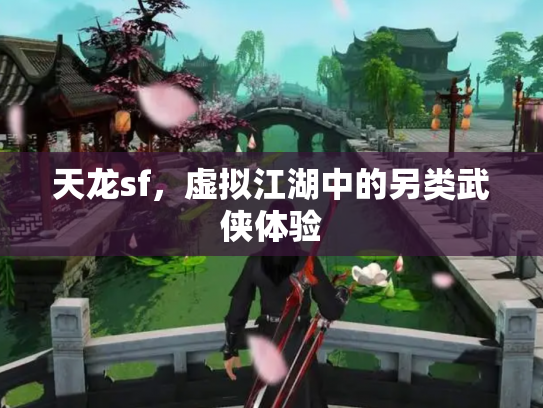 天龙sf，虚拟江湖中的另类武侠体验
