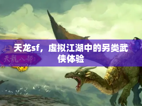 天龙sf，虚拟江湖中的另类武侠体验