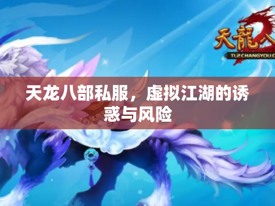 天龙八部私服，虚拟江湖的诱惑与风险