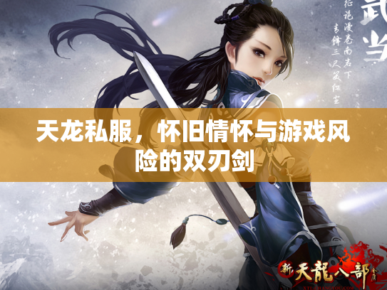 天龙私服，怀旧情怀与游戏风险的双刃剑
