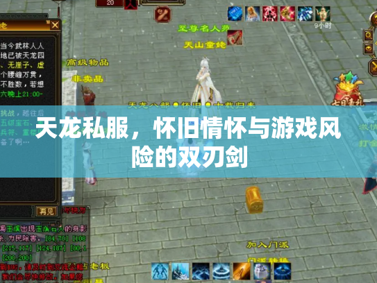天龙私服，怀旧情怀与游戏风险的双刃剑