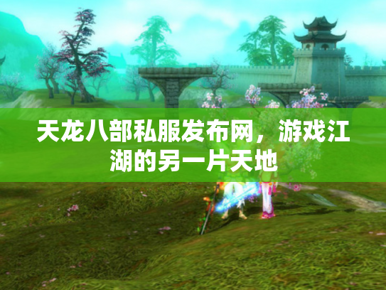 天龙八部私服发布网，游戏江湖的另一片天地