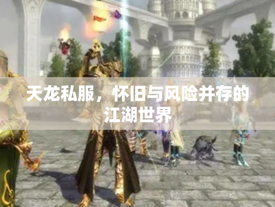 天龙私服，怀旧与风险并存的江湖世界