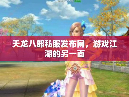 天龙八部私服发布网，游戏江湖的另一面