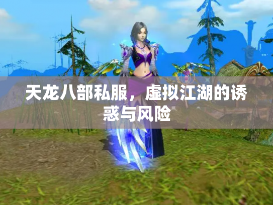 天龙八部私服，虚拟江湖的诱惑与风险