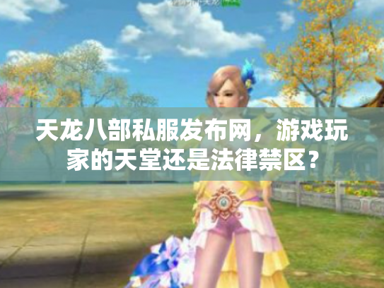 天龙八部私服发布网，游戏玩家的天堂还是法律禁区？