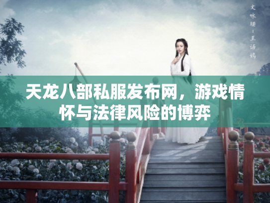 天龙八部私服发布网，游戏情怀与法律风险的博弈