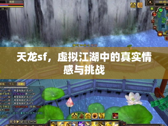 天龙sf，虚拟江湖中的真实情感与挑战