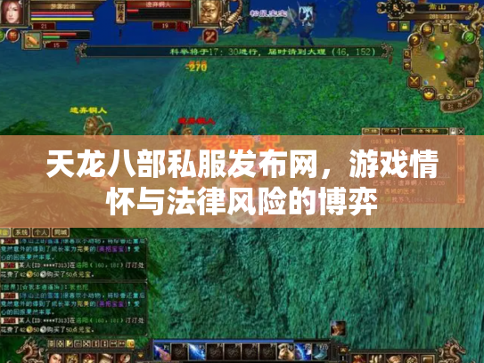 天龙八部私服发布网，游戏情怀与法律风险的博弈