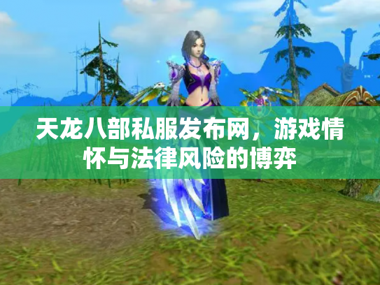 天龙八部私服发布网，游戏情怀与法律风险的博弈