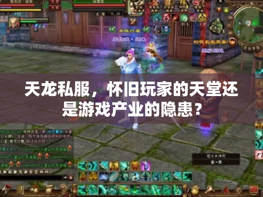 天龙私服，怀旧玩家的天堂还是游戏产业的隐患？