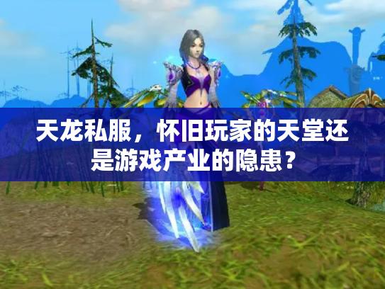 天龙私服，怀旧玩家的天堂还是游戏产业的隐患？