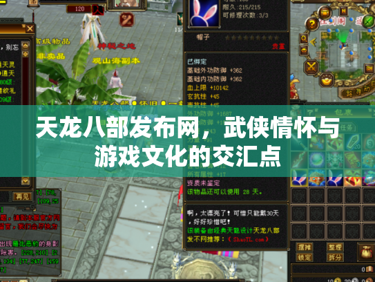 天龙八部发布网，武侠情怀与游戏文化的交汇点