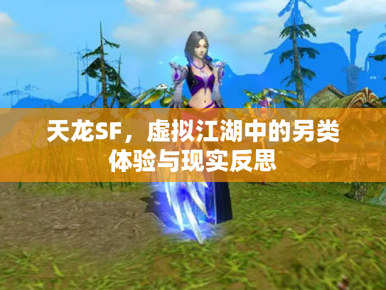 天龙SF，虚拟江湖中的另类体验与现实反思