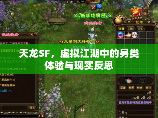 天龙SF，虚拟江湖中的另类体验与现实反思