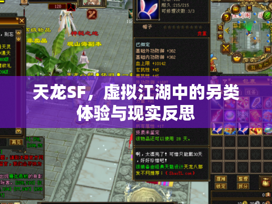 天龙SF，虚拟江湖中的另类体验与现实反思