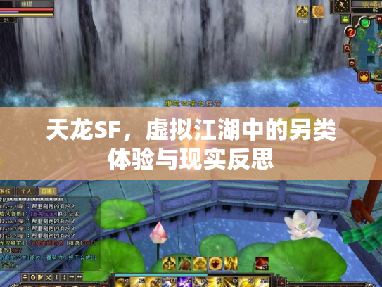 天龙SF，虚拟江湖中的另类体验与现实反思