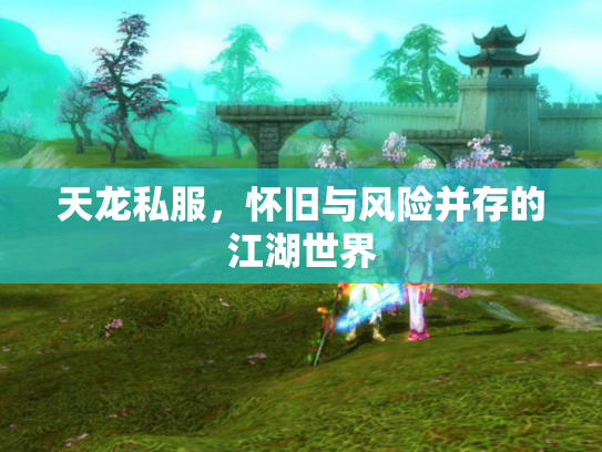 天龙私服，怀旧与风险并存的江湖世界
