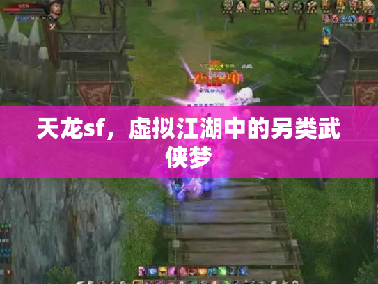 天龙sf，虚拟江湖中的另类武侠梦