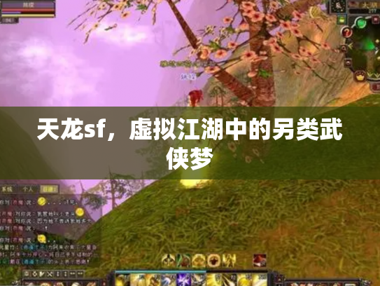 天龙sf，虚拟江湖中的另类武侠梦