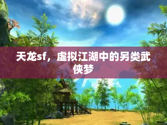 天龙sf，虚拟江湖中的另类武侠梦