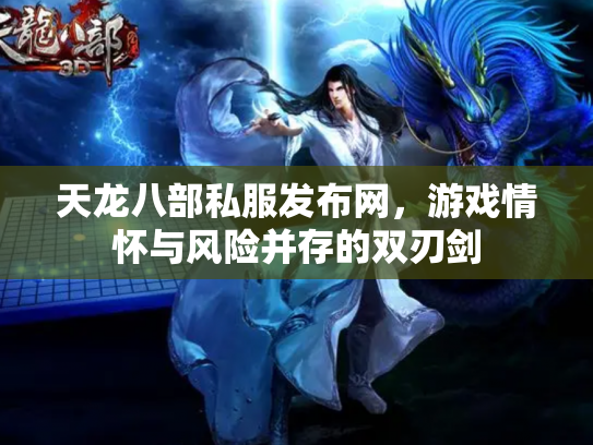 天龙八部私服发布网，游戏情怀与风险并存的双刃剑