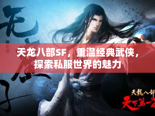 天龙八部SF，重温经典武侠，探索私服世界的魅力