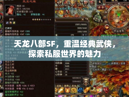 天龙八部SF，重温经典武侠，探索私服世界的魅力