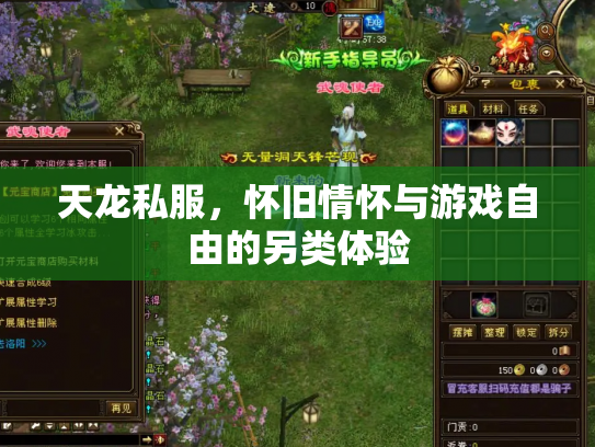 天龙私服，怀旧情怀与游戏自由的另类体验