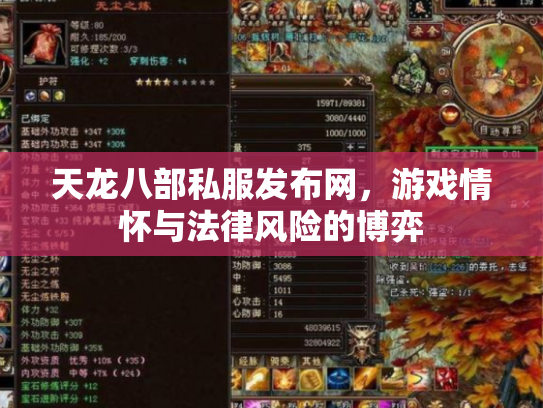天龙八部私服发布网，游戏情怀与法律风险的博弈