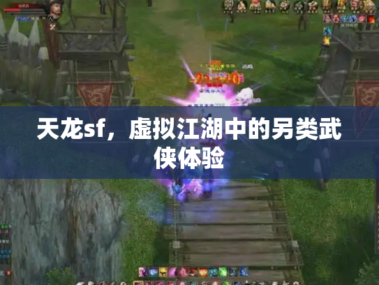 天龙sf，虚拟江湖中的另类武侠体验