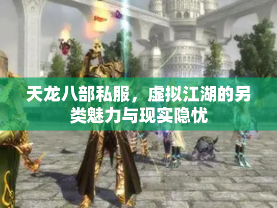 天龙八部私服，虚拟江湖的另类魅力与现实隐忧