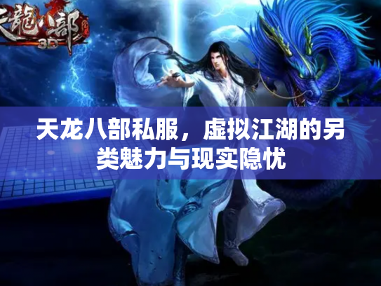 天龙八部私服，虚拟江湖的另类魅力与现实隐忧