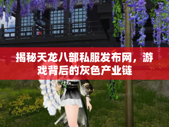 揭秘天龙八部私服发布网，游戏背后的灰色产业链