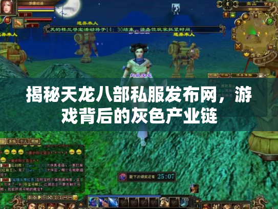 揭秘天龙八部私服发布网，游戏背后的灰色产业链