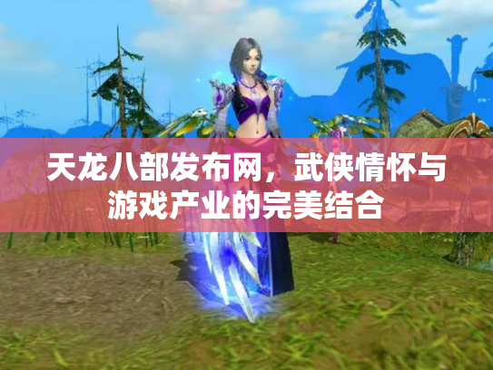 天龙八部发布网，武侠情怀与游戏产业的完美结合