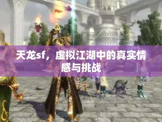 天龙sf，虚拟江湖中的真实情感与挑战