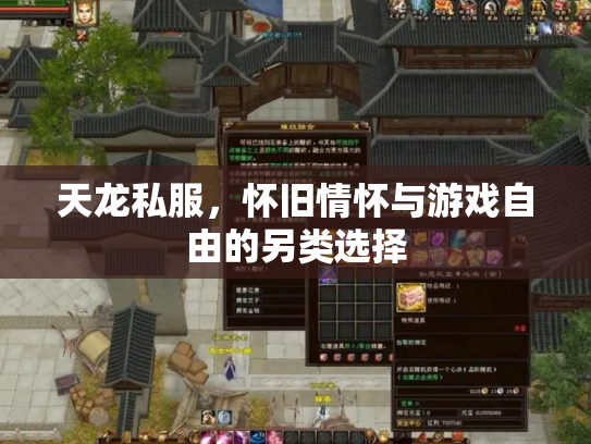 天龙私服，怀旧情怀与游戏自由的另类选择