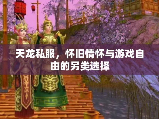 天龙私服，怀旧情怀与游戏自由的另类选择