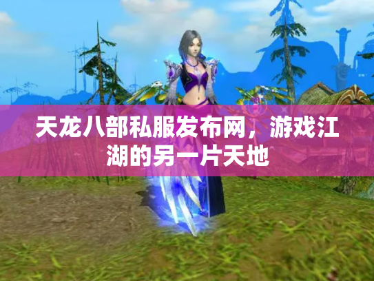 天龙八部私服发布网，游戏江湖的另一片天地