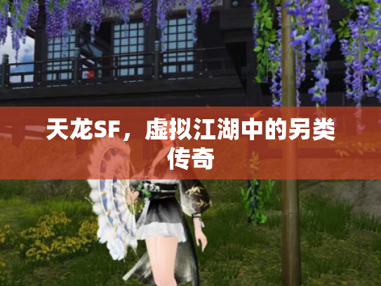 天龙SF，虚拟江湖中的另类传奇