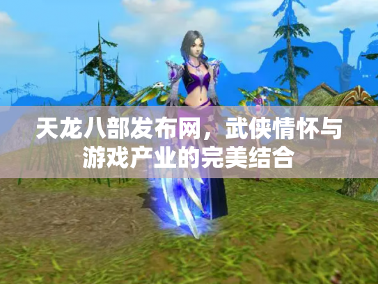 天龙八部发布网，武侠情怀与游戏产业的完美结合